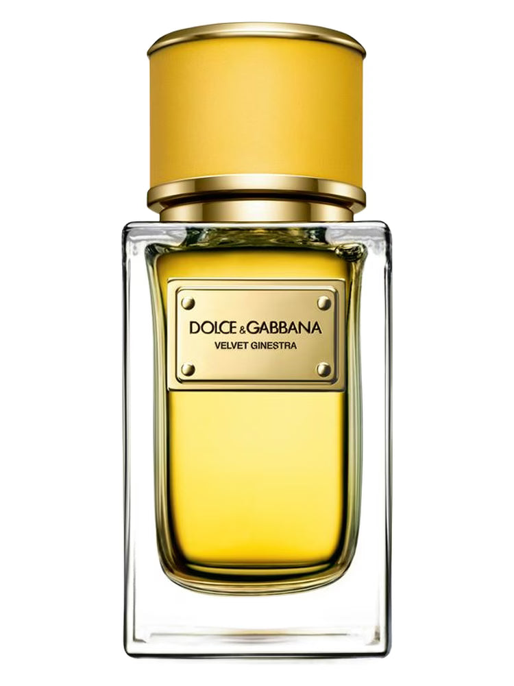 D&G Velvet Ginestra Eau De Parfum 50Ml